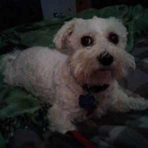 Meet your Posher, Sandra